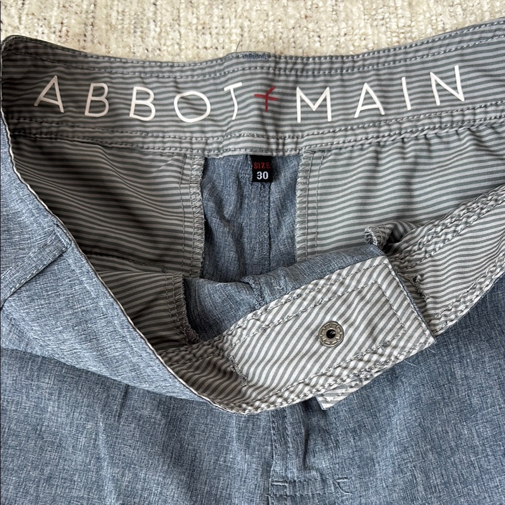 Abbot Main Gray Flat Front Tailored Shorts - Picture 3 of 8